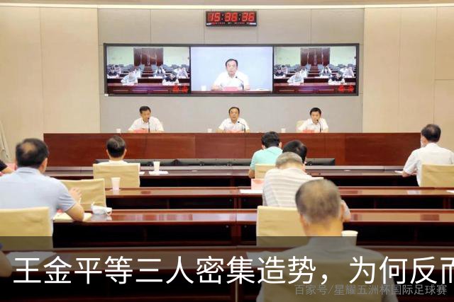 王金平等三人密集造势,为何反而坐实“蓝皮绿骨”标签?